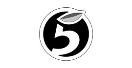 Логотип X5 Group