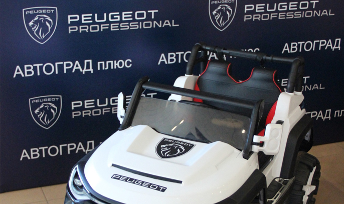 Пресс-волл для салона Peugeot